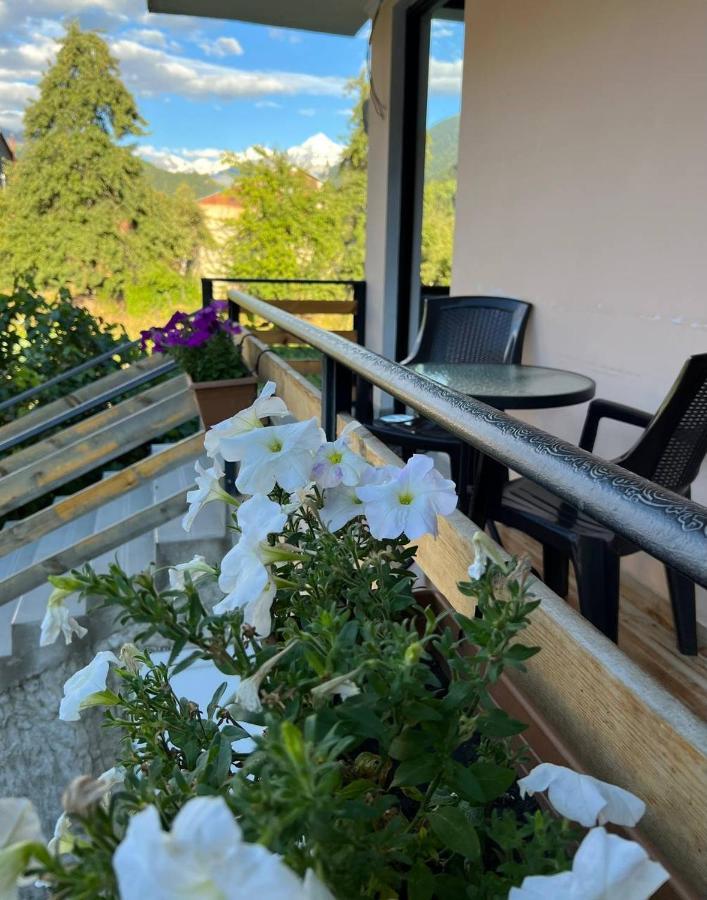 Отель Monte Bianco Местия Экстерьер фото